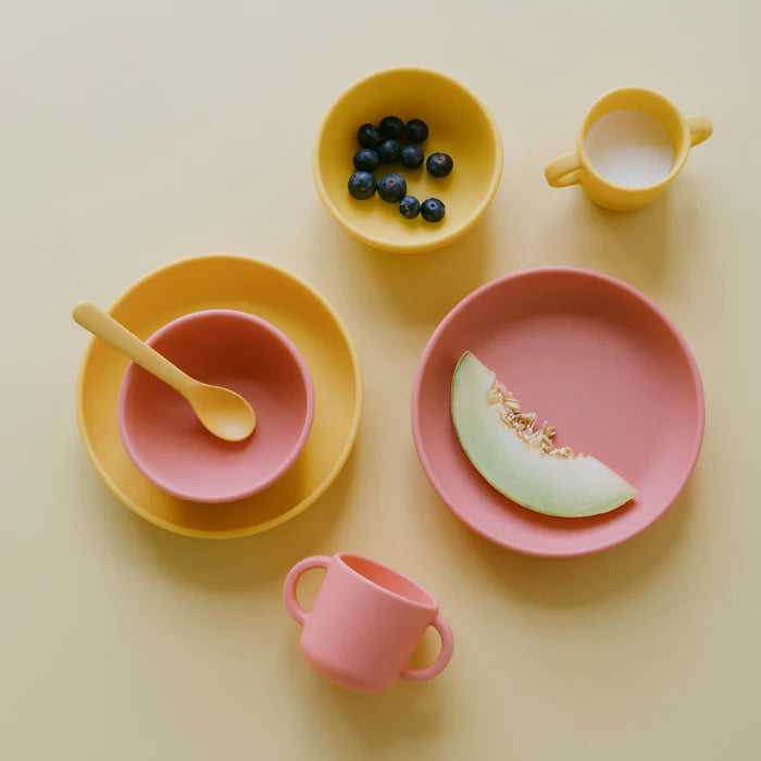 Set de 2 assiettes ventouses en silicone